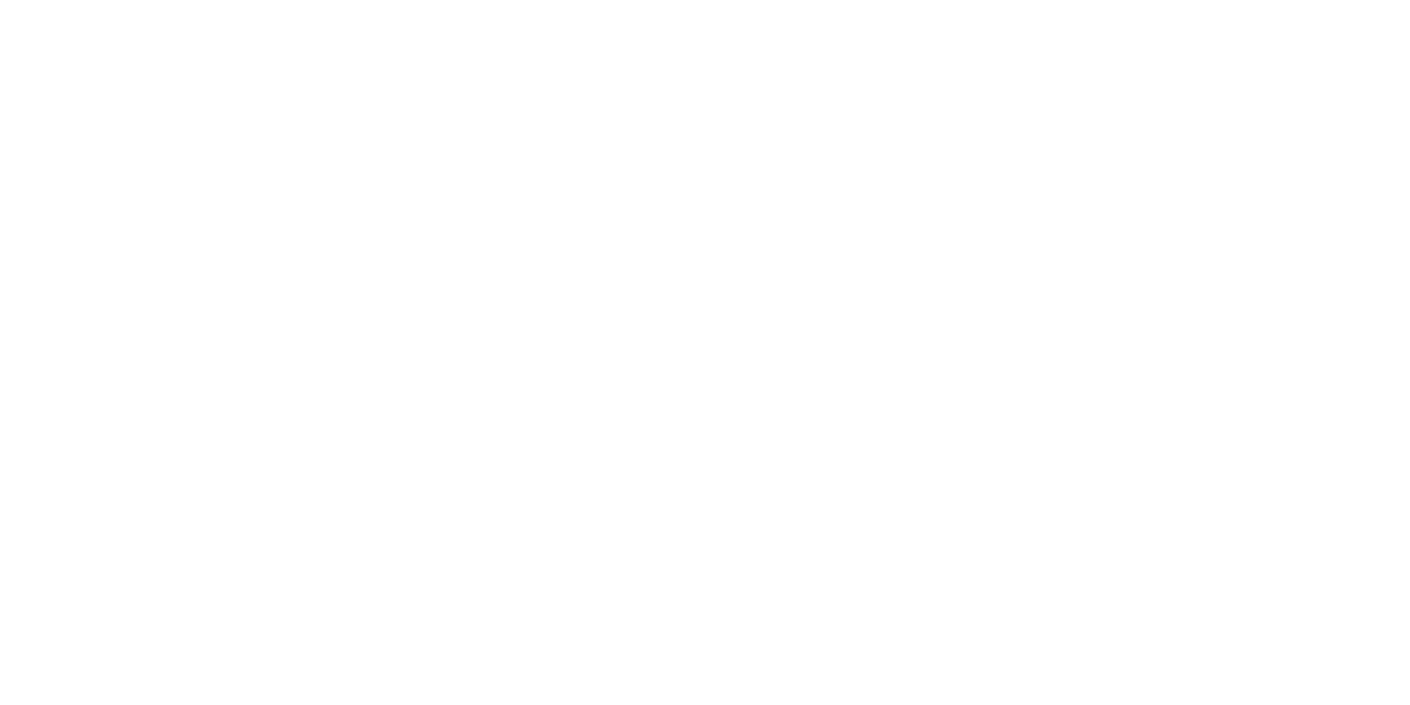 Grupo Ricardo Vilela